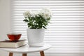 Beautiful chrysanthemum plant in flower pot, cup of tea and book on white table indoors, space for text Royalty Free Stock Photo