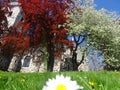 Beautiful church and landscacpe - norway