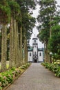 Church of Sao Nicolau Saint Nicolas with an alley of trees and hydrangea flowers Sao Miguel island, Azores, Portugal Royalty Free Stock Photo