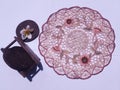 beautiful circular floral embroidery