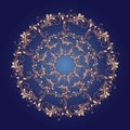 Beautiful circular pattern of floral