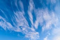 Beautiful cirrus cloud formations in a deep blue sky Royalty Free Stock Photo