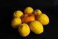 Beautiful citrus fruit arranged on the black background