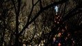 Beautiful city Christmas tree with garlands on background of dark night sky. Concept. Beautiful bright Christmas tree Royalty Free Stock Photo