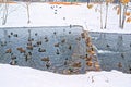 Beautiful city park on the outskirts of the city. Winter, gloomy sky and heavy snow. Ducks hibernate in an unfrozen stream Royalty Free Stock Photo