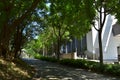 beautiful city park, park pedestrian walkway