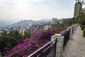 Beautiful city view from the terrace on the hill. Outside terrace with amazing flowers and scenic city view. Walkway