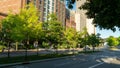 Beautiful cityscape with skyscrapers in the background of a road and trees Royalty Free Stock Photo