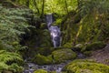 Clampitt Falls in South Devon