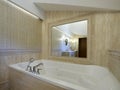 Beautiful classic interior of a bathroom in a luxurious room boutique hotel Royalty Free Stock Photo