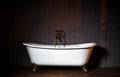 Beautiful classic style white claw foot bathtub with stainless steel old fashioned faucet and sprayer