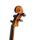 Beautiful classic violin isolated, closeup. Musical instrument