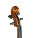 Beautiful classic violin isolated, closeup. Musical instrument