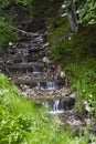 Beautiful clean mountain fresh waterfall.