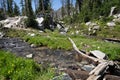 Beautiful clear, rushing creek along the Sawtooth Lake trail in Idaho Royalty Free Stock Photo