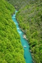 Beautiful clear turquise Tara River