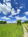 Beautiful clearing and country road Royalty Free Stock Photo