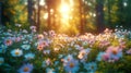 Beautiful clearing with flowers, daisies in the forest at sunrise or sunset.