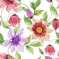Beautiful clematis flowers on climbing twigs against white background. Seamless floral pattern. Watercolor painting. Royalty Free Stock Photo