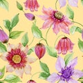 Beautiful clematis flowers on climbing twigs against yellow background. Seamless floral pattern. Watercolor painting.