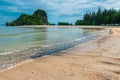 Beautiful cliffs covered with trees on the sandy shore Royalty Free Stock Photo