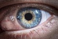 Beautiful close up human eye. Macro photography. Royalty Free Stock Photo