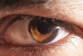 Beautiful close-up human eye. Macro photography.Beautiful close-up human eye. Macro photography. Royalty Free Stock Photo