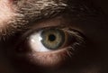Beautiful close up human eye. Macro photography. Royalty Free Stock Photo