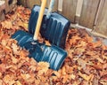 Beautiful close up image shot with colorful yellow dry autumn fall maple leaves on ground on backyard, fall season Royalty Free Stock Photo