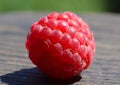 Close-up of ripe raspberries on a beautiful background. Royalty Free Stock Photo