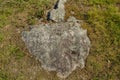 Beautiful close up view of part of gray stone overgrown with green moss.