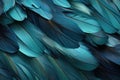 Beautiful closeup feather background in turquoise blue and teal colors Royalty Free Stock Photo