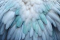 Beautiful closeup feather background in turquoise blue and teal colors Royalty Free Stock Photo
