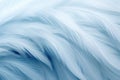 Beautiful closeup feather background in light blue colors. Macro texture of colorful fluffy feathers from tropical bird Royalty Free Stock Photo