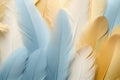 Beautiful closeup feather background in light blue and gold colors. Macro texture Royalty Free Stock Photo