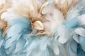 Beautiful closeup feather background in light blue and gold colors. Macro texture Royalty Free Stock Photo