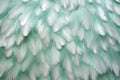 Beautiful closeup feather background in turquoise blue and teal colors Royalty Free Stock Photo