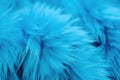 Beautiful closeup feather background in turquoise blue and teal colors Royalty Free Stock Photo