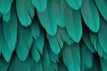 Beautiful closeup feather background in turquoise blue and teal colors Royalty Free Stock Photo