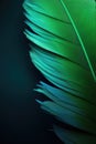 Beautiful closeup feather background in turquoise blue and teal colors Royalty Free Stock Photo