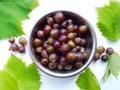 Beautiful closeup grapes Photography background