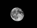 Beautiful closeup greyscale shot of the full moon in the night sky Royalty Free Stock Photo