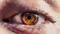 Beautiful closeup macro shot of the details of a hazel brown human eye Royalty Free Stock Photo