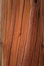 A beautiful closeup of an old wooden log. Part of a historic copper mine building.