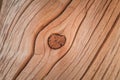 A beautiful closeup of an old wooden log. Part of a historic copper mine building.