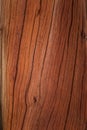 A beautiful closeup of an old wooden log. Part of a historic copper mine building.