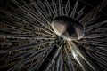 Beautiful closeup shot of Ferris wheel with lights at night time - great for a cool background Royalty Free Stock Photo