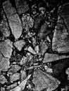 Beautiful closeup textures abstract color dark black and white granite tiles floor and black flowers granite rock wall pattern w Royalty Free Stock Photo