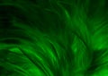 Beautiful closeup textures abstract colorful dark black yellow and green feathers and darkness pattern feather wall and background Royalty Free Stock Photo