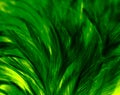 Beautiful closeup textures abstract colorful dark black yellow and green feathers and darkness pattern feather wall and background Royalty Free Stock Photo